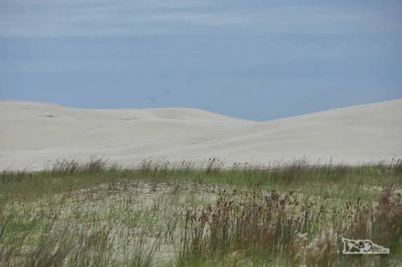 As enormes dunas do Parque Nacional da Lagoa do Peixe, no sul do Rio Grande do Sul, entre a Lagoa dos Patos e o Oceano Atlântico